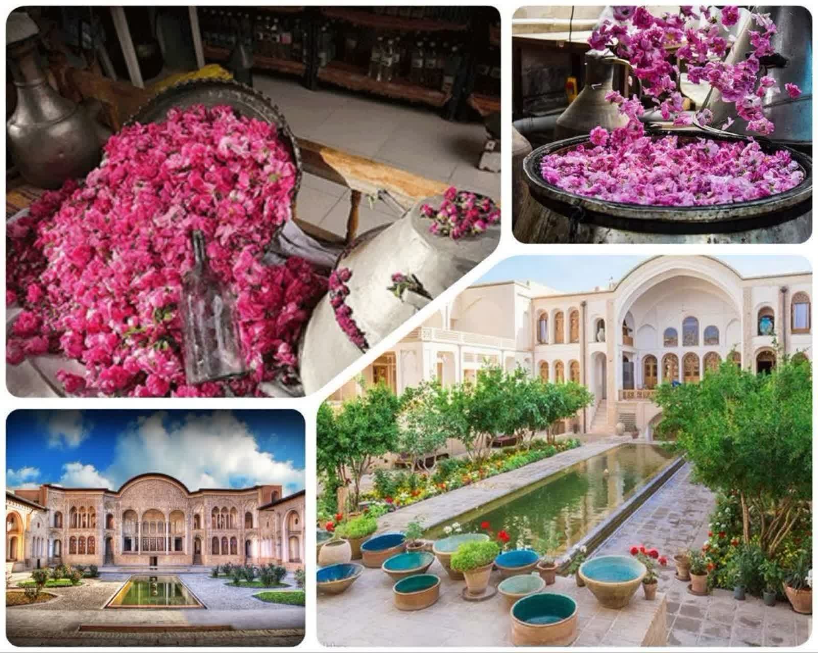 سفر یکروزه گلابگیری کاشان